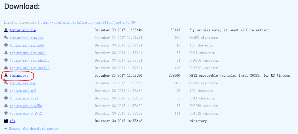 Windows 安装 tcping 命令